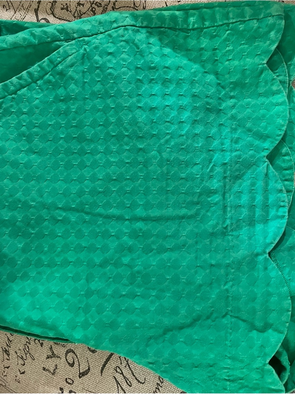 Crown & Ivy Green Textured Scalloped Hem Shorts